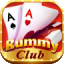 your rummy game icon