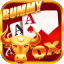 rummy call