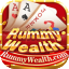 rummy cir icon